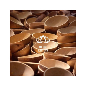 LOS MÁS VENDIDOS: Cuencos de Calabaza Ecológicos Hechos a Mano para Servir Aperitivos y Decoración de Mesa para Comercio de Exportación - Product Image 1
