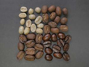 Granos de Café Robusta Verde Tostado de Primera Calidad, Precio Competitivo de Exportación, Compre Ahora, Entrega Rápida Disponible, Austria, Sin OMG - Product Image 3