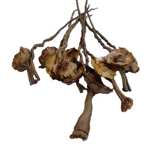 Material Botánico Natural Exótico, Varillas de Coco para Decoración de Bodas, Manualidades, Relleno de Acuarios - Product Image 2