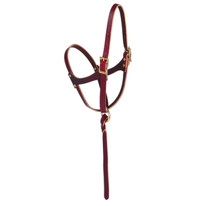 Cabestro de entrenamiento para caballos Royal International Premium de cuero genuino con correa de control |   Collarín Ajustable para Caballos de Establos Ecuestres - Product Image 2