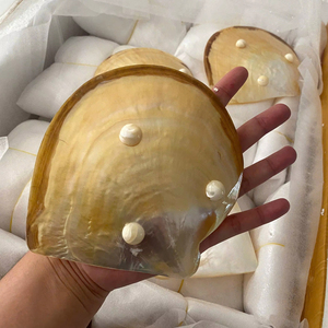 Natural Mother of Pearl <b>Shell</b> Tray Polished Seashell Plate Handmade Elegant Caviar Dish Craft Gift Wholesale Supply - Product Image 1