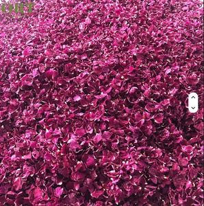 กลีบกุหลาบแห้งเกรด A1 แบบไฮบริด |   กลีบดอกไม้แห้งจำนวนมาก |   กลีบกุหลาบแดงแห้งเกรด A1 |    กลีบดอกพรีเมียมแบบแห้ง - Product Image 4