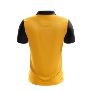 Uniforme de cricket sublimé de haute qualité et performant |   Ensemble complet d'uniformes de cricket pour hommes, femmes et jeunes : polo et pantalon - Product Image 6