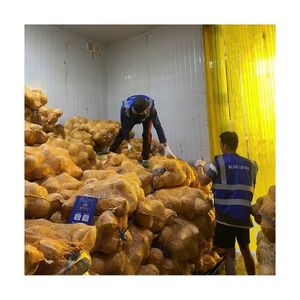 Top Quality <b>Semi</b> <b>Husked</b> <b>Coconut</b> Cheap Wholesale Price <b>Fresh</b> Light Color Bright Skin Premium Factory Bulk Supply New - Product Image 6