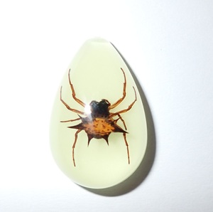 Spiny <b>Spider</b> Real Specimen <b>Plastic</b> Cabochon Pear Shape Cut Top 33x22 mm Glow Flat Bottom for Crafts and Jewelry Making - Product Image 5