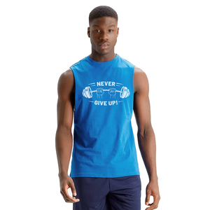 Camisetas de Entrenamiento Personalizadas, Ropa Deportiva, Marca Privada, Fabricante OEM, Ropa Casual, Transpirable, Camisetas 100% Algodón - Product Image 1