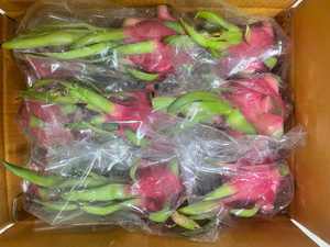 Fruit du dragon frais, goût sucré, origine vietnamienne, qualité d'exportation - Product Image 2