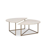Table basse ronde en métal avec plateau en bois, surface lisse, idéale pour un salon élégant, apparence raffinée