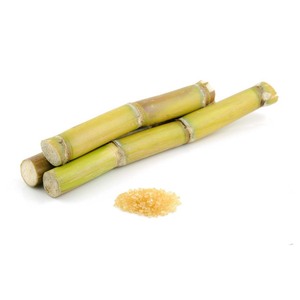 Cañas de Caña de Azúcar Frescas al por Mayor para Bares de Jugos, Procesamiento de Alimentos y Suministro Agrícola - Product Image 4