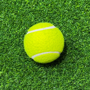 Balle de tennis personnalisée avec logo pour le tennis, le cricket, le long tennis, les jeux pour animaux et les usages promotionnels OEM - Product Image 1