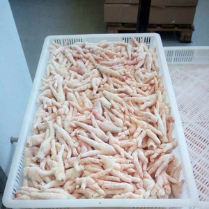 Patas de Pollo Congeladas de Primera Calidad, Venta al Por Mayor, Listas para Exportar a Todo el Mundo - Product Image 5