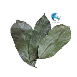 Feuilles de corossol séchées EXPAD 500g - Infusez avec de l'eau chaude pour des bienfaits pour la santé Durée de conservation de 18 mois Fabriqué à Ho Chi Minh City - Product Image 5