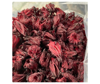 Pemasok Bunga Hibiscus Segar Premium Vietnam - Bahan Herbal Rosella Berkualitas Tinggi, Umur Simpan 12 Bulan, Grosir untuk Ekspor