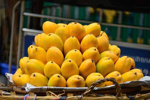 Mangues jaunes fraîches biologiques de haute qualité 20 cm 25 kg 99,99 % matures, directement de Maryland, États-Unis - Product Image 5