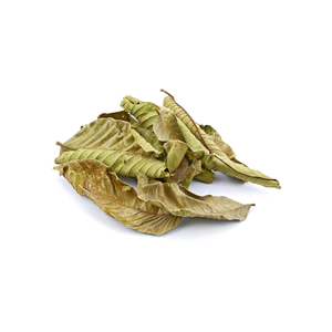 Hojas de Guayaba Secas de Alta Calidad, Suministro al por Mayor, Fabricante OEM ODM, Marca Privada, Vietnam - Product Image 1