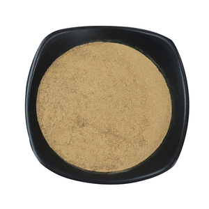 Poudre de racine de Costus de qualité alimentaire, pure et naturelle, poudre de Qust al Hindi, approvisionnement en vrac, poudre de Costus au meilleur prix d'Inde - Product Image 1
