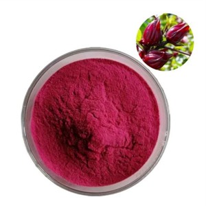 Poudre d'hibiscus 100% pure pour les soins des cheveux, poudre naturelle d'hibiscus pour nourrir les cheveux, favorise des cheveux doux, brillants et d'apparence saine - Product Image 1