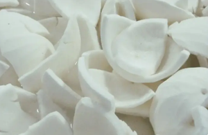 Viande de noix de coco surgelée de haute qualité, disponible en différentes tailles. Emballage personnalisé disponible. - Product Image 6