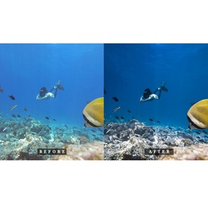 Servicio de Edición de Fotos Subacuáticas con Corrección de Color Profesional, Recuperación de Destellos y Limpieza de Fondo al Mejor Precio - Product Image 3