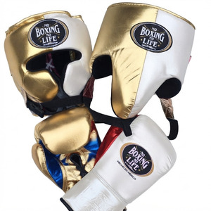 Ensemble d'entraînement de boxe haut de gamme avec protège-tête métallique et gants de boxe pour le sparring, l'entraînement physique et l'équipement de fitness - Product Image 4