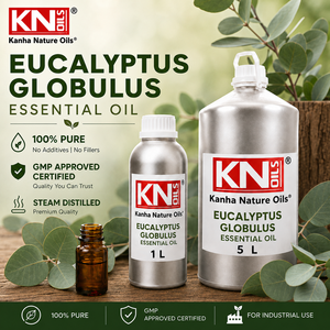 Aceite Esencial de Eucalipto Globulus 100% Puro, Certificado Orgánico, Venta al Por Mayor, Exportación Mundial - Product Image 2