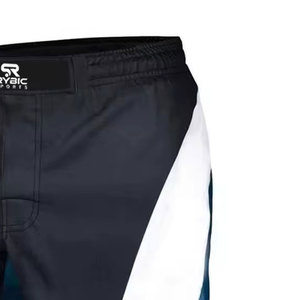 Shorts MMA légers, best-sellers, design robuste, conçus pour la performance, le confort et la flexibilité en entraînement - Product Image 4