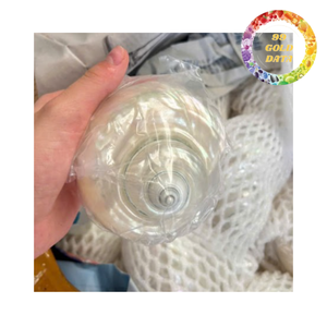 Premium Decorative Polished <b>Abalone</b> <b>Shell</b> Natural <b>Shell</b> for Home and Gift Use - Product Image 5