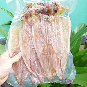 Premium Dried Whole Squid Vietnam Dried Seafood Natural Bulk Supplier - Product Image 6