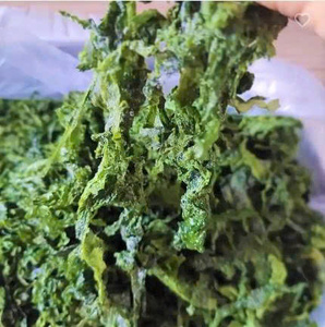 Premium Natural Green Seaweed <b>Powder</b> Fine <b>Texture</b> Rich Nutrient Source Wholesale Bulk Supply For International Food Industry Now - Product Image 5