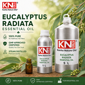 Aceite Esencial de Eucalipto Radiata 100% Puro, Destilado al Vapor, para Aromaterapia, Kanha Nature Oils, Grado Superior, Fabricante a Granel, Distribución Mundial - Product Image 2