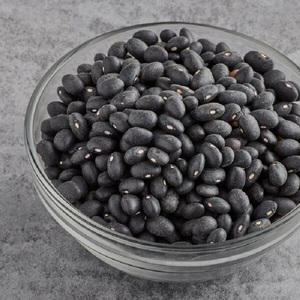 Frijoles Negros Frescos Orgánicos de Alta Calidad, Cosecha Reciente, Venta con Entrega Rápida, Proveedor Mayorista, Mejor Precio, Stock Razonable - Product Image 4