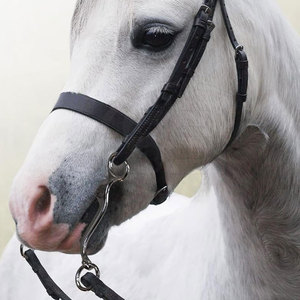 Mors d'entraînement pour chevaux en acier inoxydable de qualité supérieure avec design de type mors de frein pour l'équitation quotidienne - Product Image 3