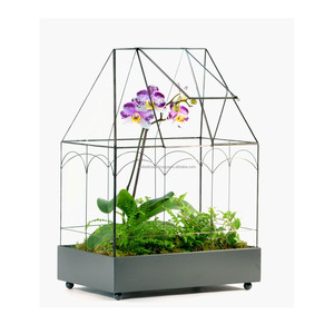 Metal & Glass Tabletop Terrarium With Gray Powder Coating Finishing And Wire Hut Design For Home Decoration Wholesale Price