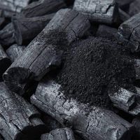 Charbon de coco naturel en poudre, extrait végétal, charbon actif de qualité alimentaire 99%, en bouteille plastique, approvisionnement en vrac, marque privée