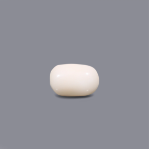 Natural White Coral Loose Gemstone 3.45 Carat Oval Cabochon Faceted Cut Color Change 3mm Certified Wholesale - Product Image 1