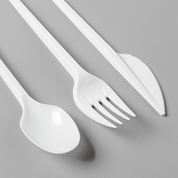 Ensemble de couverts jetables de style moyen-oriental, couteau, fourchette et cuillère de qualité alimentaire pour la restauration, les restaurants et les plats à emporter