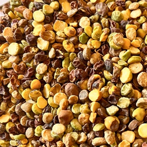 Proveedor Indio de Chana Dal Seca Convencional, con Alto Contenido de Proteína, en Paquete a Granel para Uso Industrial en Procesamiento de Alimentos, al Mejor Precio - Product Image 1