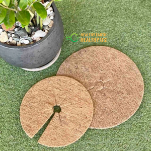 Coir Mulch Ring <b>for</b> Plant Bases Natural Coconut Fiber Cover <b>for</b> <b>Trees</b> Flowers Shrubs and Garden Plants Eco2go Vietnam - Product Image 3
