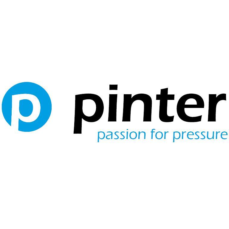 PINTER Mess- und Regeltechnik GmbH logo