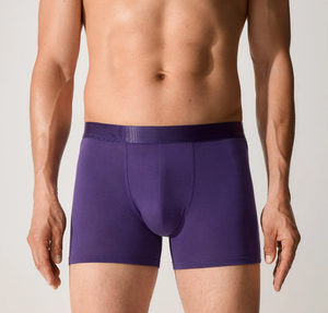 Boxers pour hommes en modal respirant, doux comme de la soie, anti-transpiration, écologiques, antibactériens, 180 GSM, prix direct usine en gros, OEM - Product Image 1