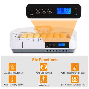 Incubatrice Automatica per Uova di Gallina US 35 con Funzioni di Rotazione Automatica delle Uova, Controllo Temperatura e Umidità, Allarme Acqua - Product Image 3
