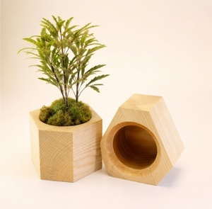 Maceta Pequeña de Madera Vintage para Suculentas, Macetero de Madera Natural para Escritorio, Soporte Geométrico Creativo para Flores, en Oferta - Product Image 1