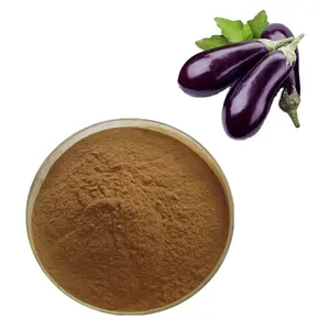 Meilleure vente 100% poudre d'extrait d'aubergine naturelle pure poudre d'aubergine de qualité alimentaire en vrac