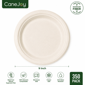 Canejoy 9 Inch Bagasse Round <b>Plate</b> | Eco-Friendly <b>Disposable</b> Travel Dinner <b>Plate</b> | 10 Packs | Classic Style | Made in Gujarat - Product Image 2