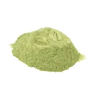 Polvo de Hojas de Moringa Oleifera, Proveedor a Granel, Polvo de Moringa Premium al por Mayor, Ingrediente Herbal a Bajo Precio - Product Image 1