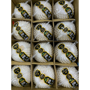 Coco Joven de Ben Tre, Vietnam, Marca VILA, Fácil de Abrir con Pajita, Coco Fresco, Cultivo Sin OMG, Proveedor/ ANNA DO - Product Image 2