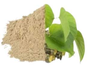 Ingrédient actif de vitamine de poudre d'extrait de fines herbes de Tinospora Cordifolia de catégorie comestible emballé dans le tambour - Product Image 5