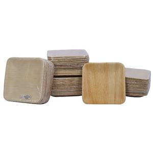 Placas de hoja de palma Areca desechables biodegradables de alta calidad, patrón de planta cuadrada de 10 pulgadas para eventos corporativos India - Product Image 1