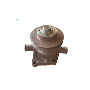 Ensemble pompe à eau et pompe à huile compatible avec tracteur Sonalika, poulie à gorge de 132 mm, grande hauteur, OEM EP404803 - Product Image 1