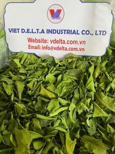 Hojas de Limón Secas |   Proveedor de Vietnam |   Calidad Premium |   Exportación a granel - Product Image 3